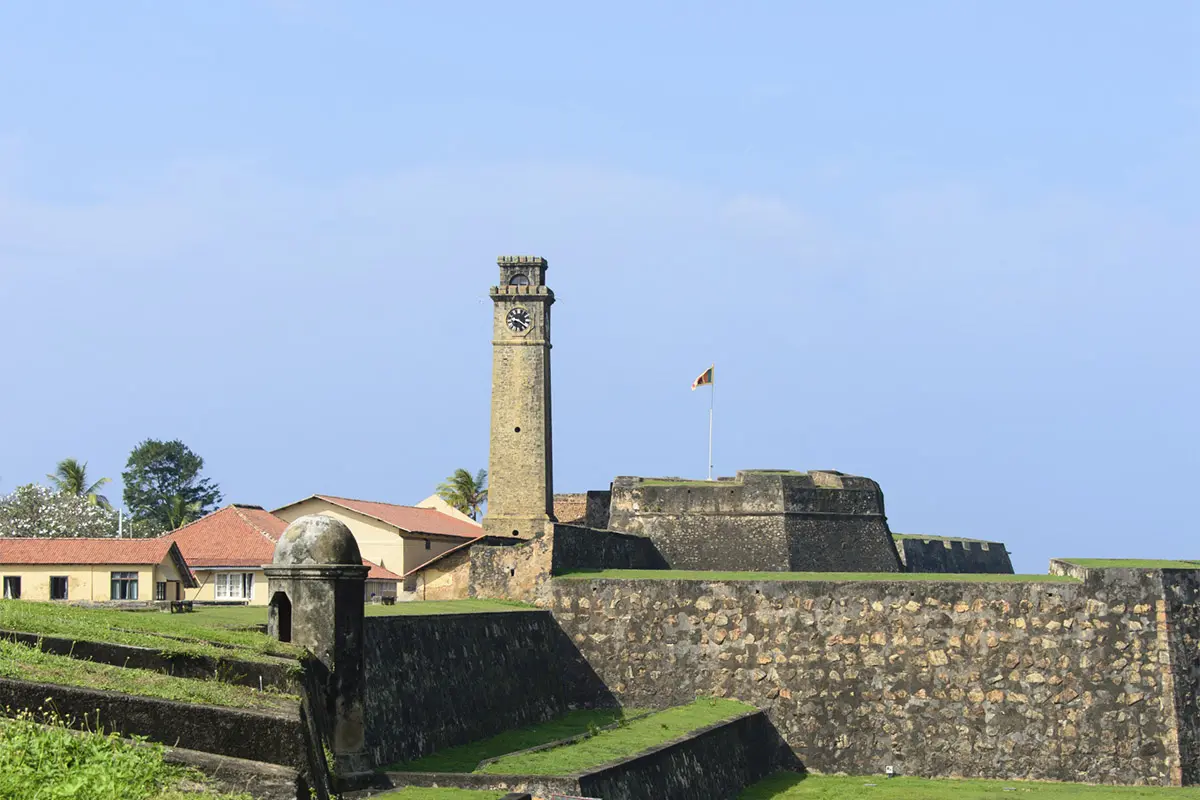 Whale watching and Galle tour